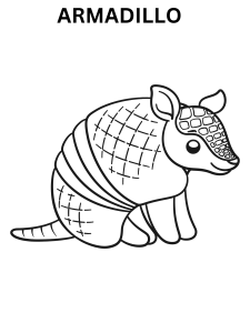 Realistic Armadillo Coloring Pages
