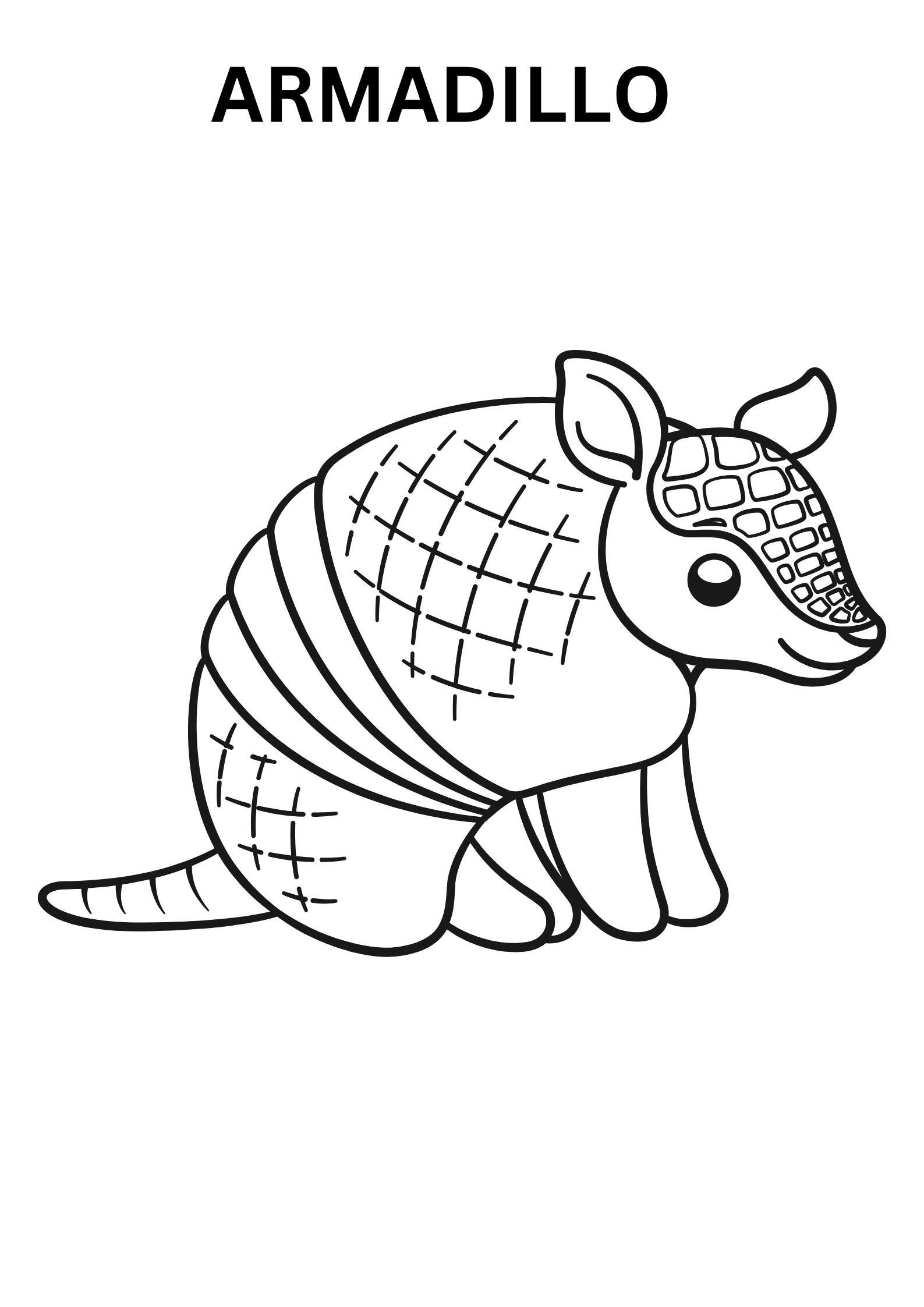 Realistic Armadillo Coloring Pages