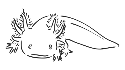 Realistic Axolotl Coloring Pages