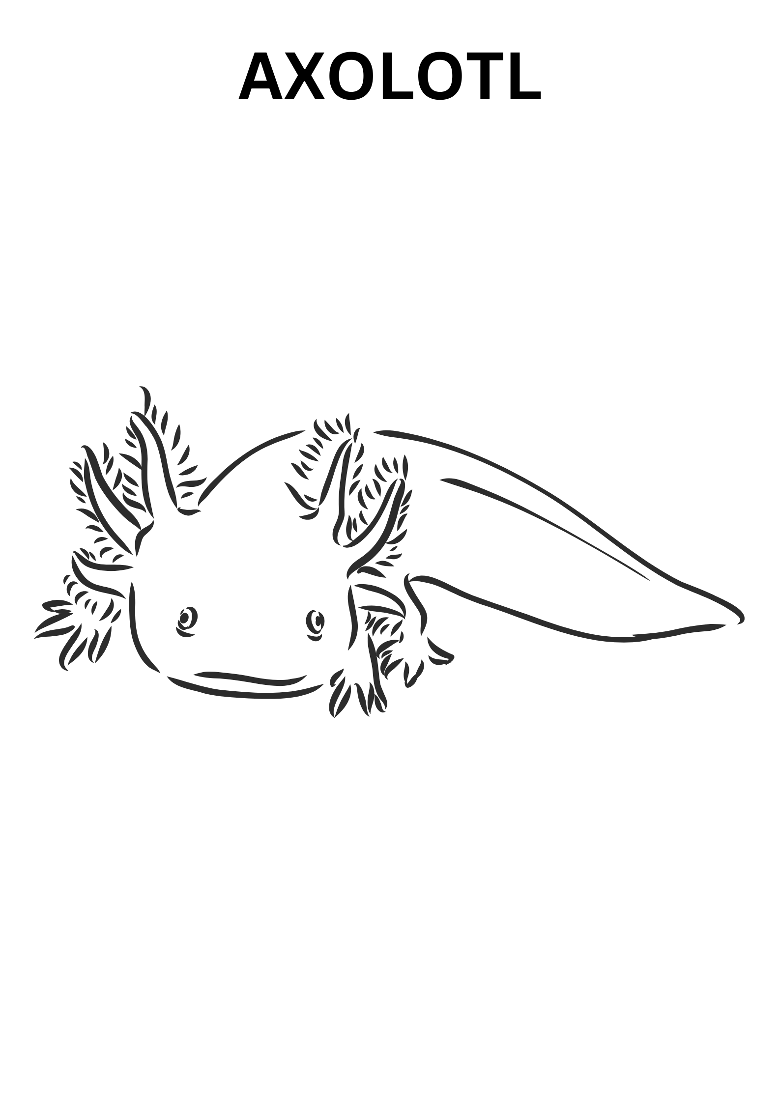 Realistic Axolotl Coloring Pages