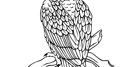 Realistic Bald Eagle Coloring Pages