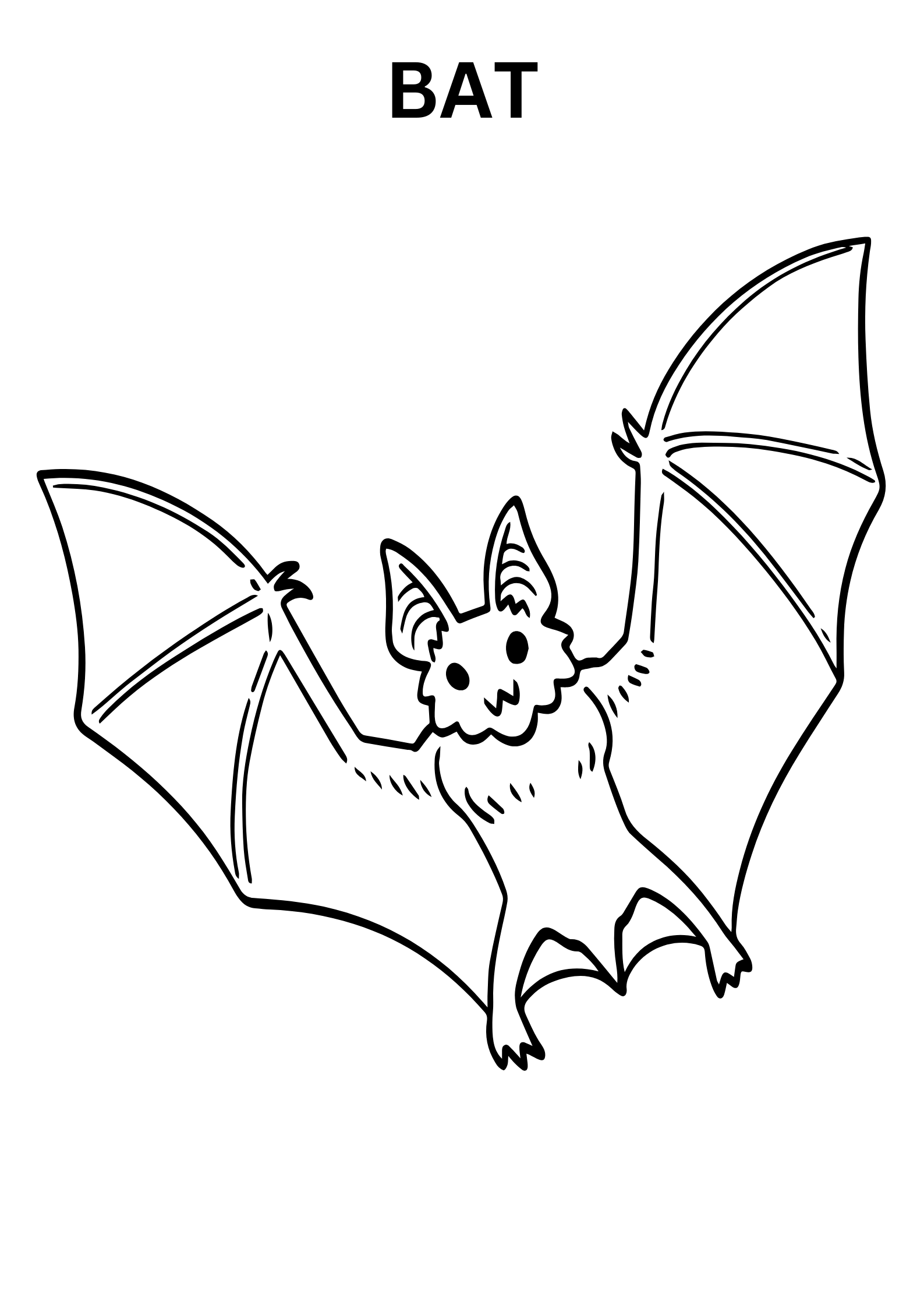 Realistic Bat Coloring Pages