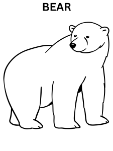 Realistic Bear Coloring Pages