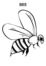 Realistic Bee Coloring Pages