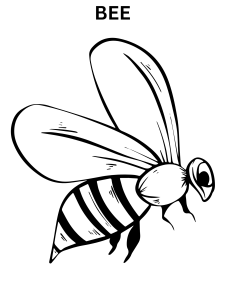 Realistic Bee Coloring Pages