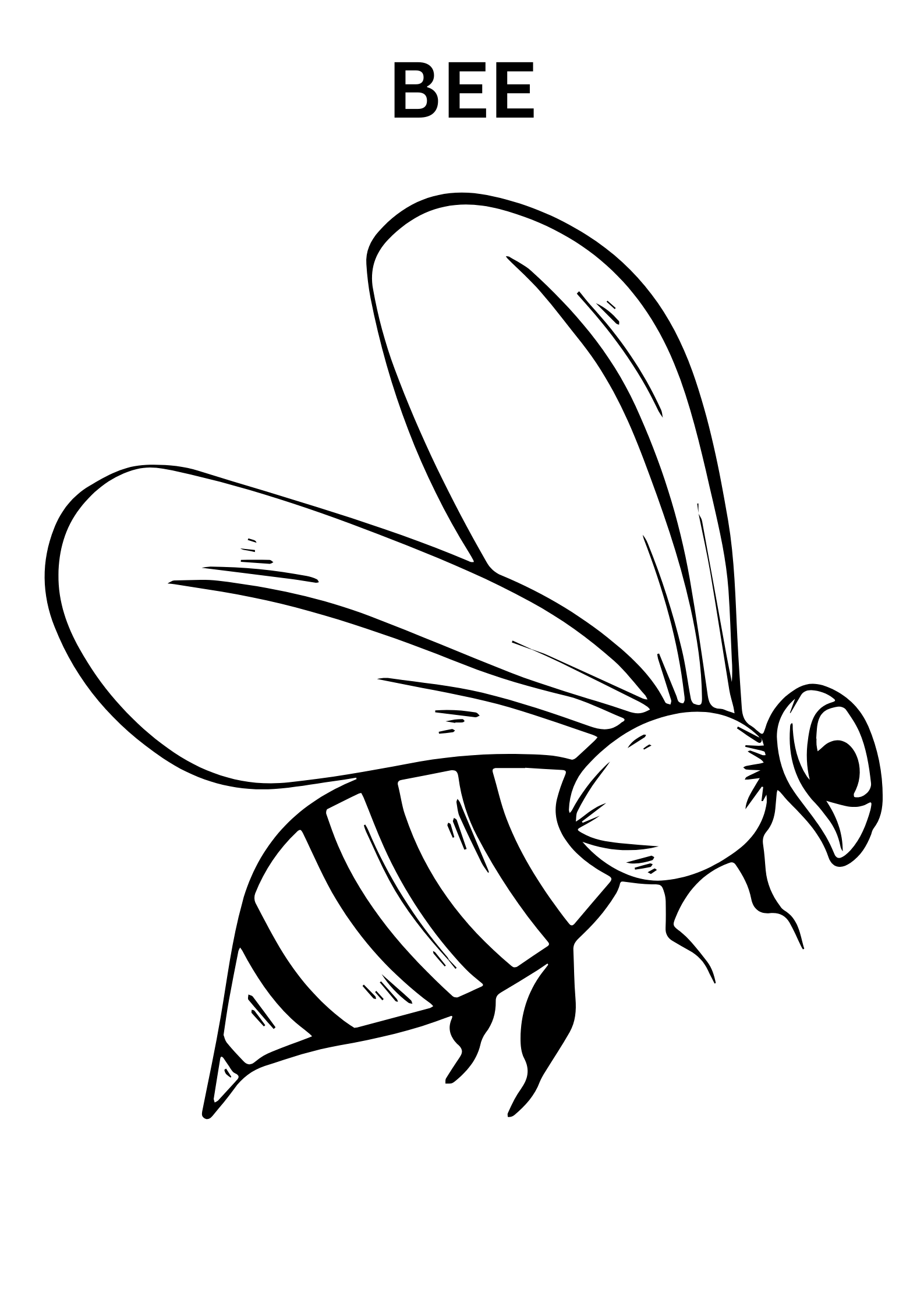 Realistic Bee Coloring Pages