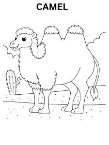 Realistic Camel Coloring Pages