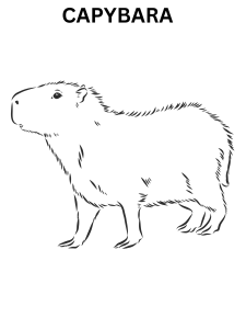 Realistic Capybara Coloring Pages