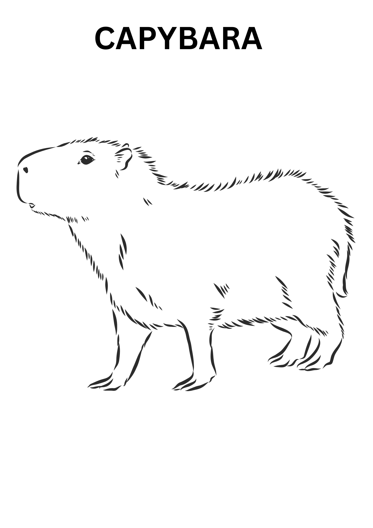 Realistic Capybara Coloring Pages