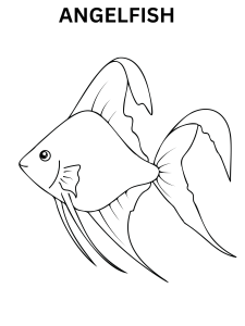 Simple Angelfish Coloring Page