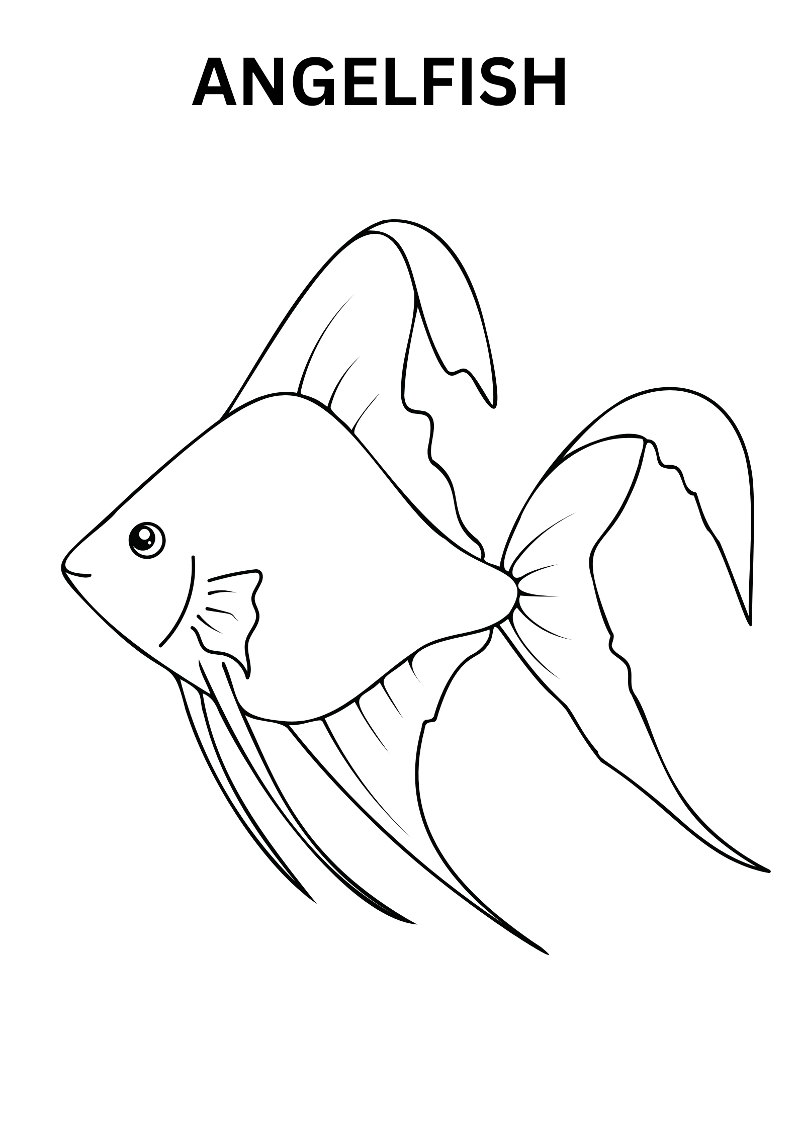 Simple Angelfish Coloring Page