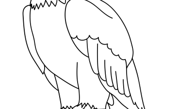 Simple Bald Eagle Coloring Pages