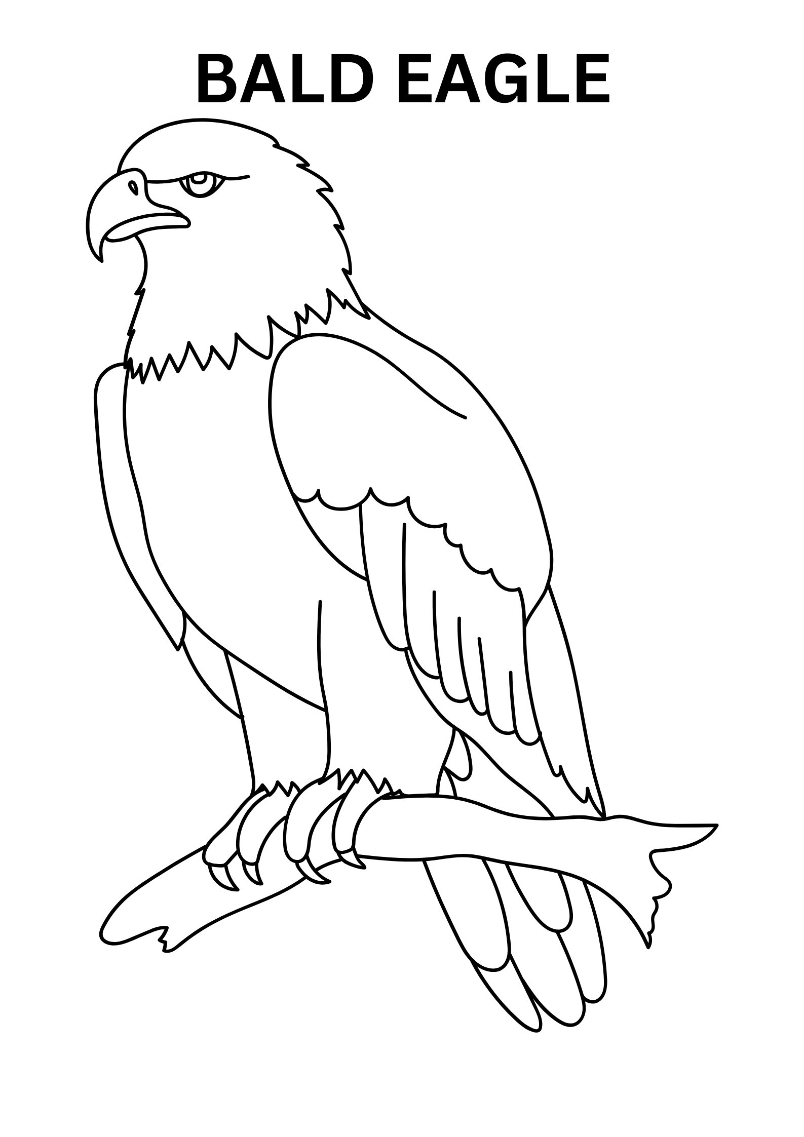 Simple Bald Eagle Coloring Pages