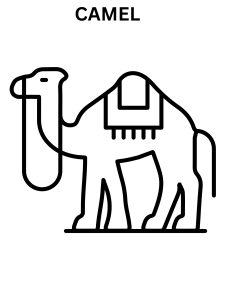 Simple Camel Coloring Pages For Kindergarten
