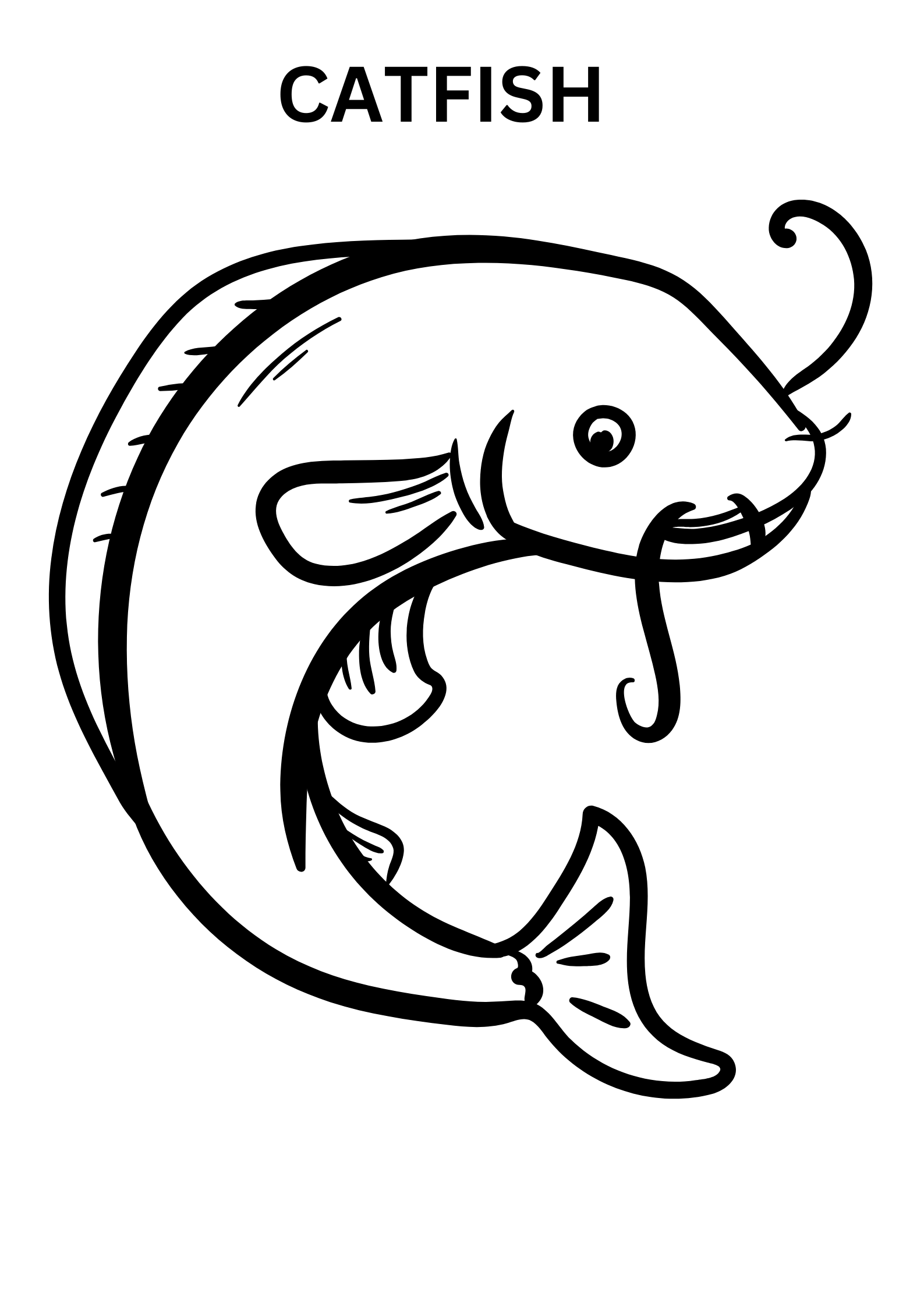 Simple Catfish Coloring Pages