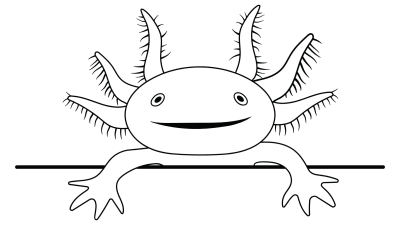 Smiling Axolotl Coloring Pages