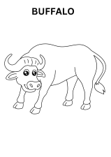 African Buffalo Coloring Pages