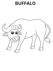 African Buffalo Coloring Pages