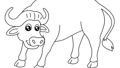 African Buffalo Coloring Pages