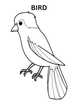 Baby Bird Coloring Pages