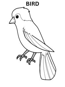 Baby Bird Coloring Pages