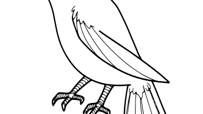 Baby Bird Coloring Pages