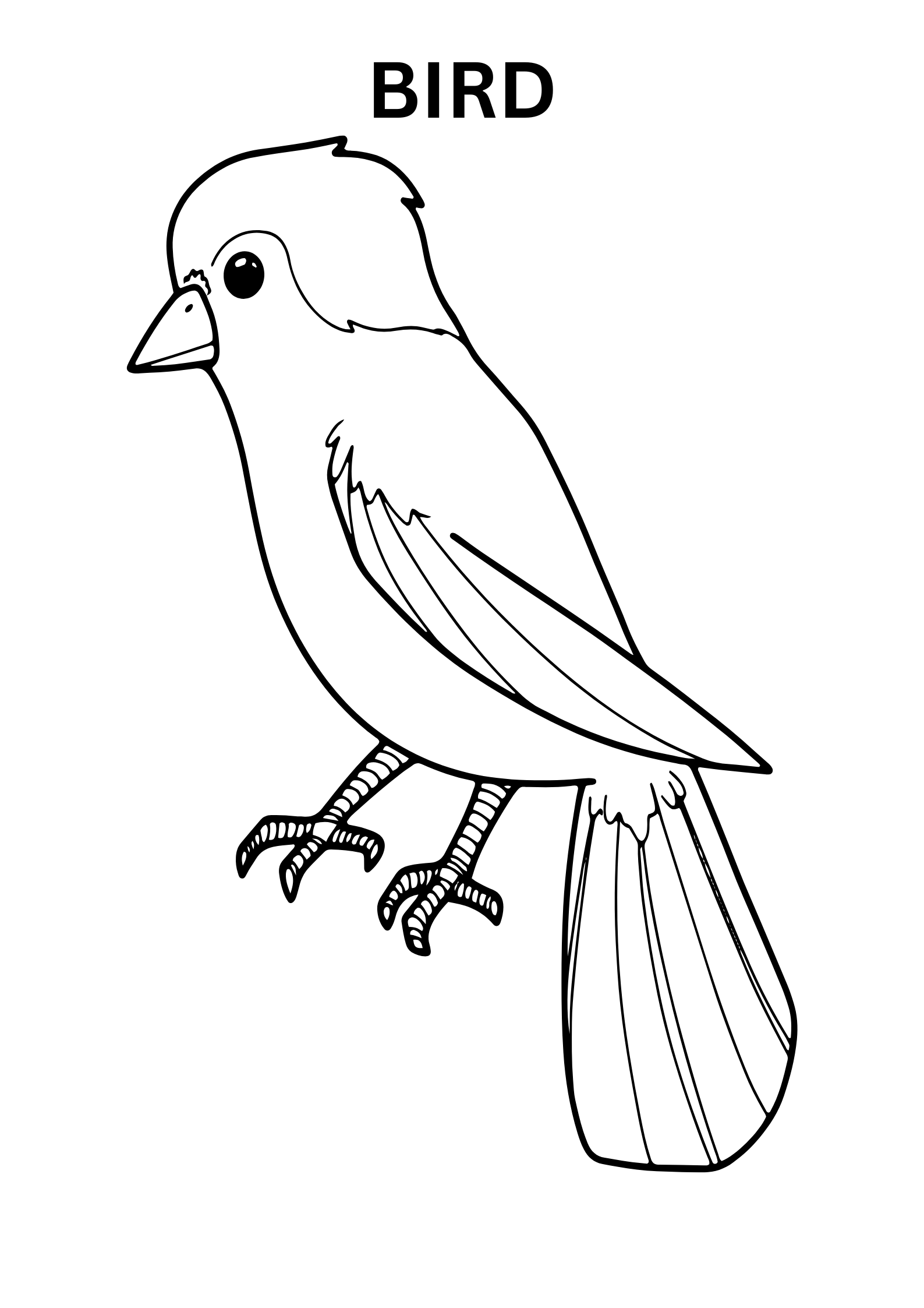 Baby Bird Coloring Pages