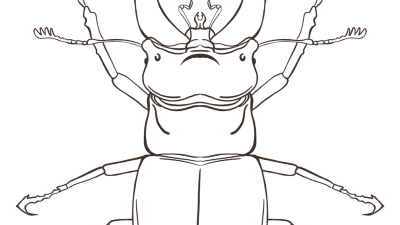 Beetle Coloring Pages For Adults