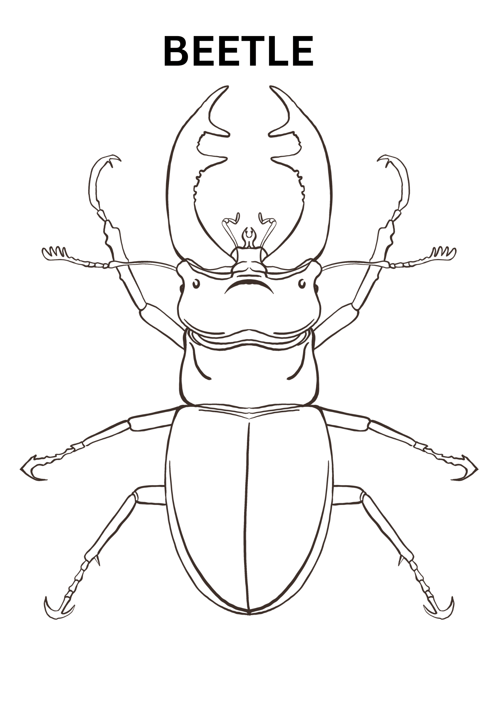 Beetle Coloring Pages For Adults