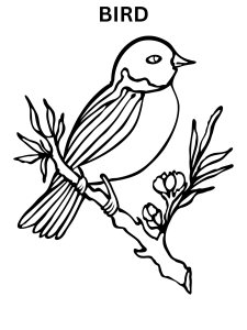 Bird And Flower Coloring Pages
