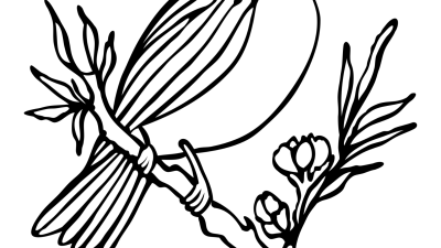 Bird And Flower Coloring Pages