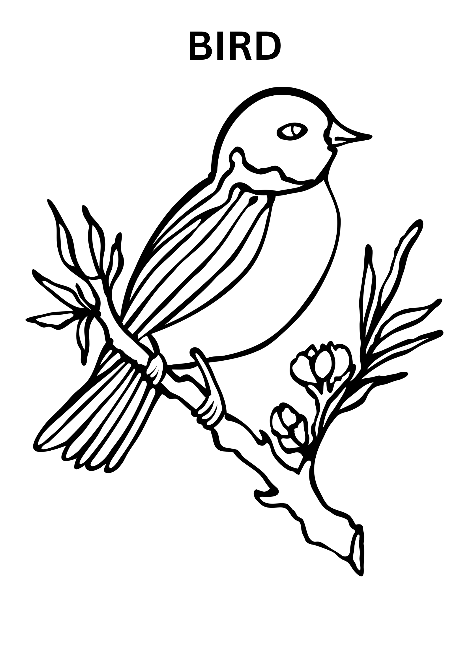 bird and flower coloring pages