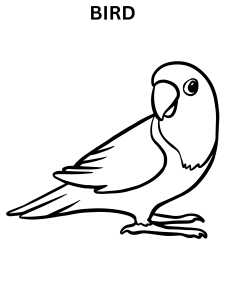 Bird Coloring Pages For Kids