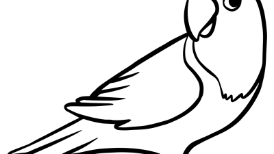 Bird Coloring Pages For Kids