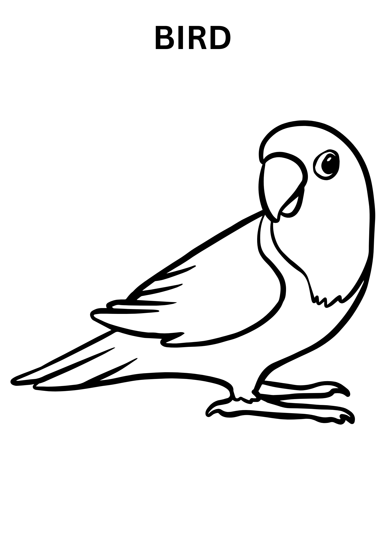 Bird Coloring Pages For Kids