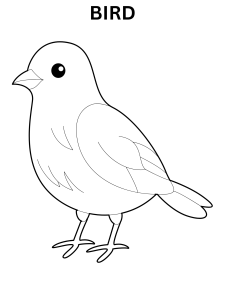 Bird Coloring Pages For Preschoolers