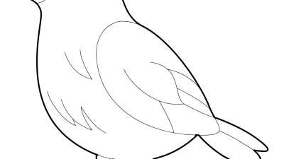 Bird Coloring Pages For Preschoolers