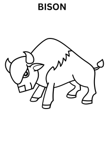 Bison Coloring Pages For Kindergarten
