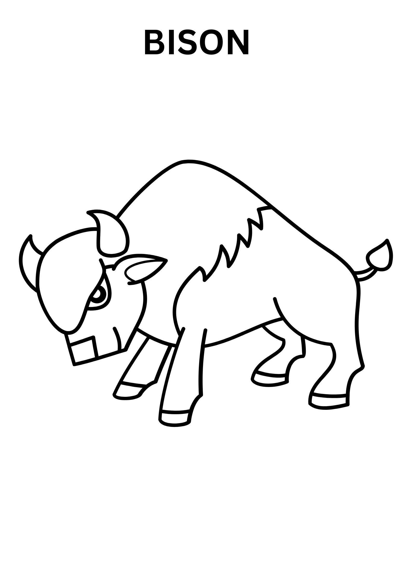 Bison Coloring Pages For Kindergarten