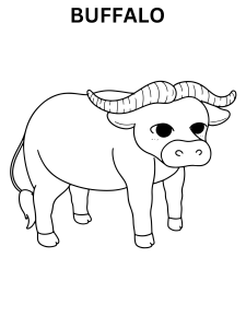 Buffalo Coloring Pages For Kids