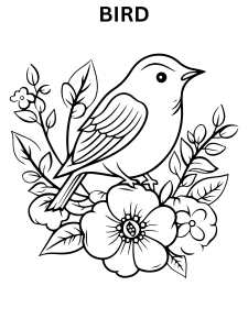 Coloring Pages Of Birds For Adults