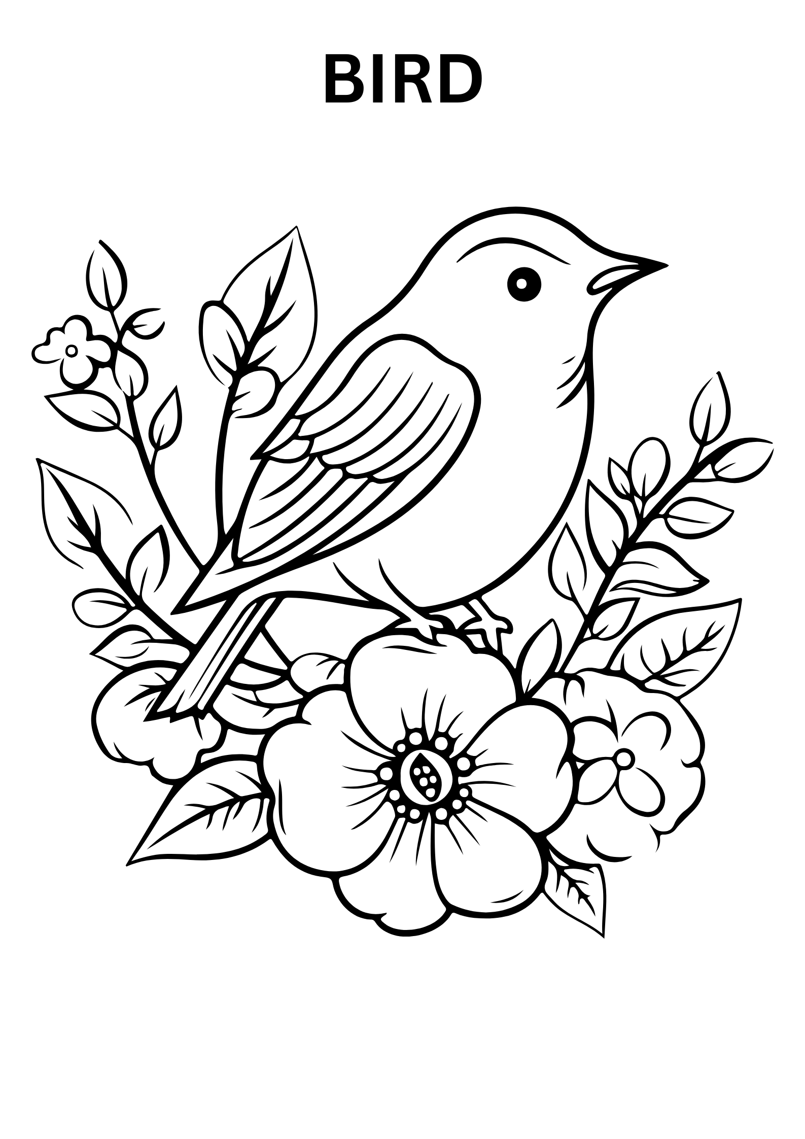 coloring pages of birds for adults