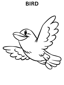 Cute Bird Coloring Pages