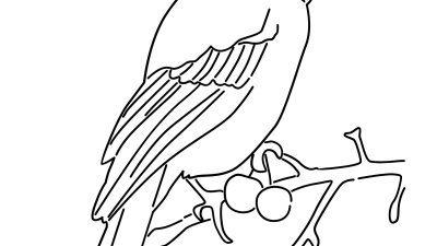 Detailed Bluejay Coloring Pages