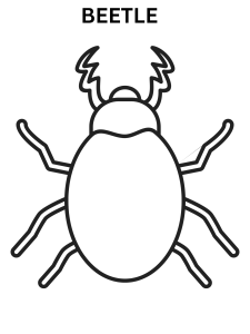 Easy Beetle Coloring Pages