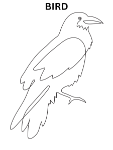 Easy Bird Coloring Pages