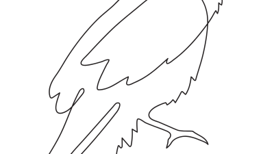 Easy Bird Coloring Pages