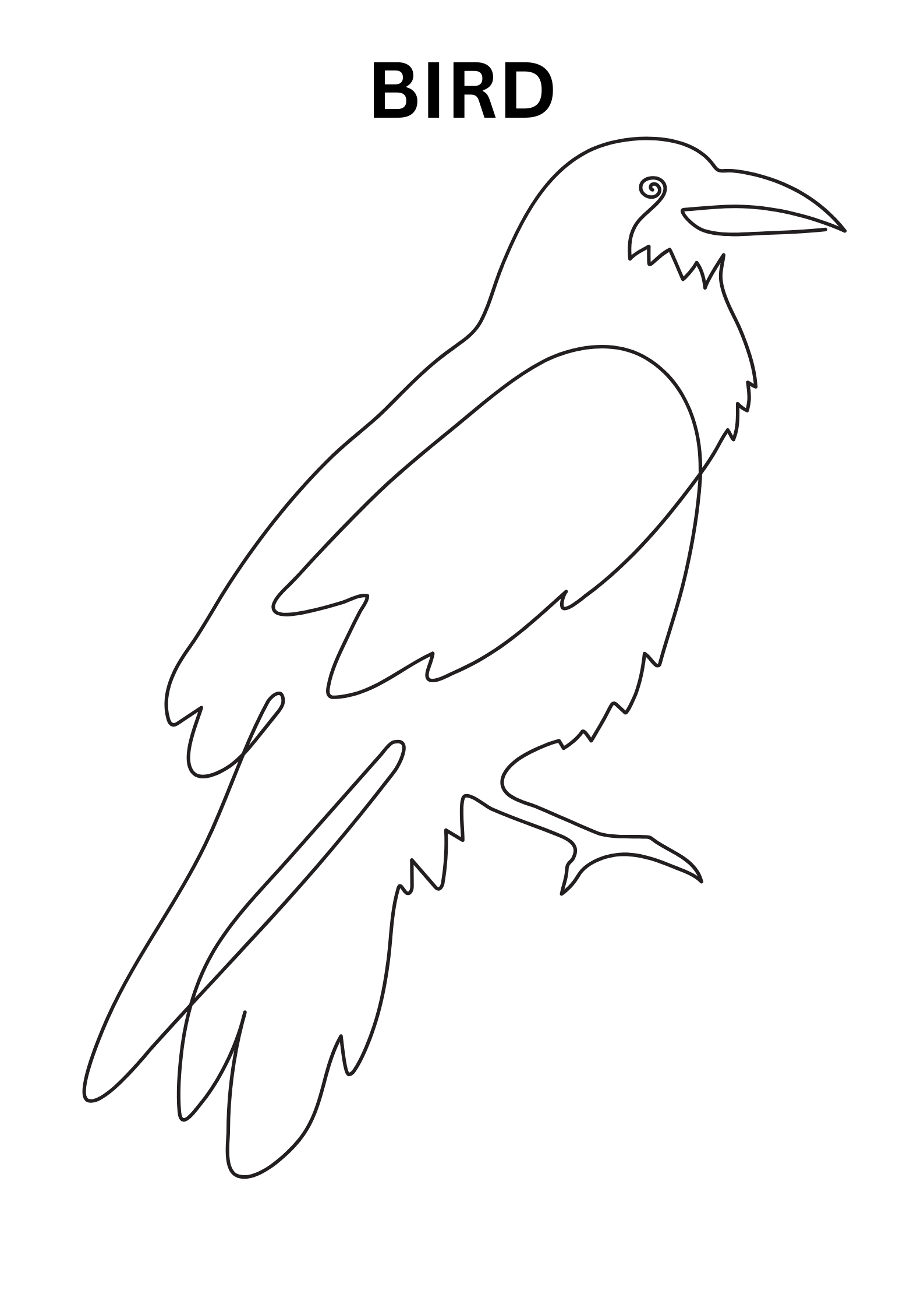 easy bird coloring pages