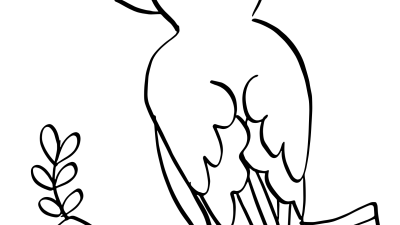 Exotic Bird Coloring Pages