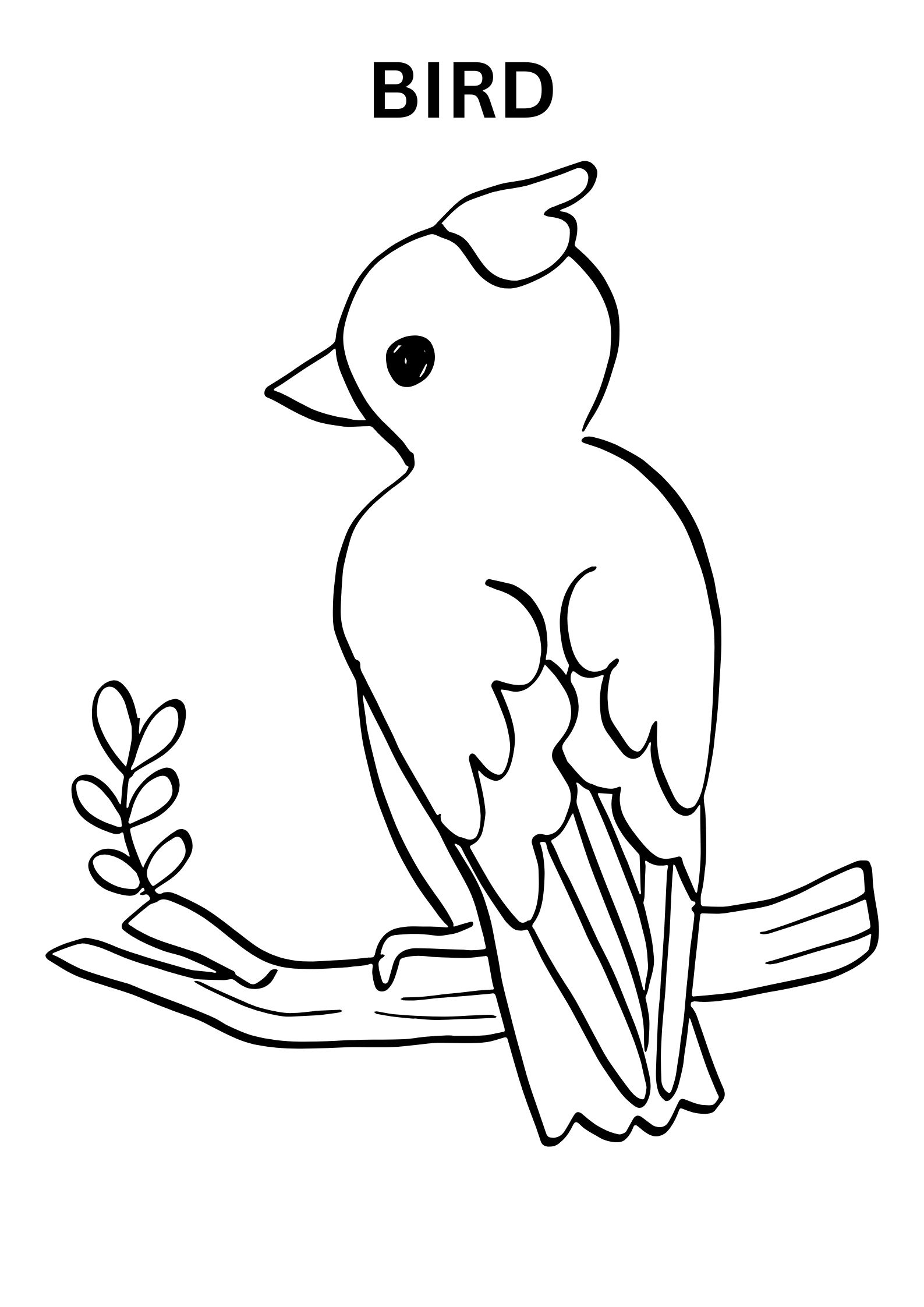 Exotic Bird Coloring Pages